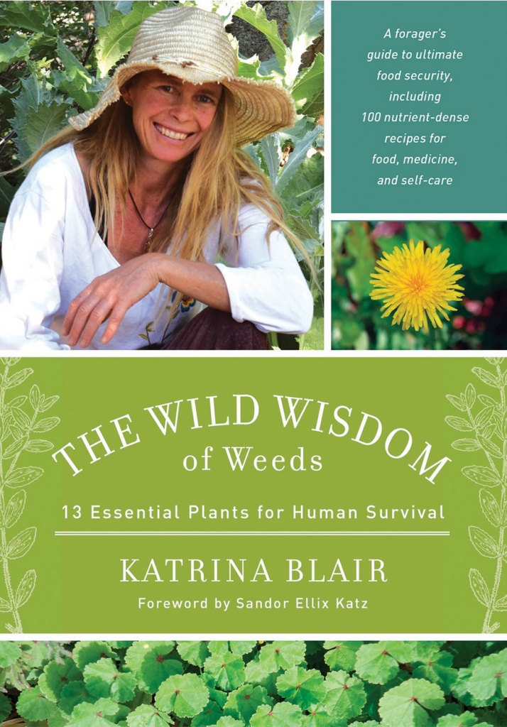 The Wild Wisdom of Weeds, by Katrina Blair